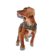 Barbour Tartan Dog Coat