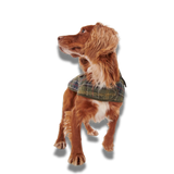 Barbour Tartan Dog Coat