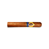 CAO Colombia - Tinto